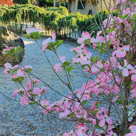 فيلا Casa Da Agra آكورونيا المظهر الخارجي الصورة